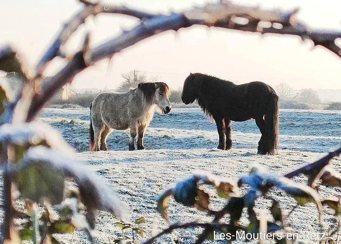 La Grande Baie Hotel Villeneuve-en-Retz